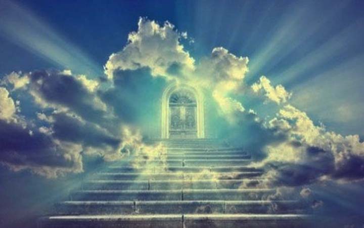 জান্নাত কোন কোন বিষয় থেকে মুক্ত